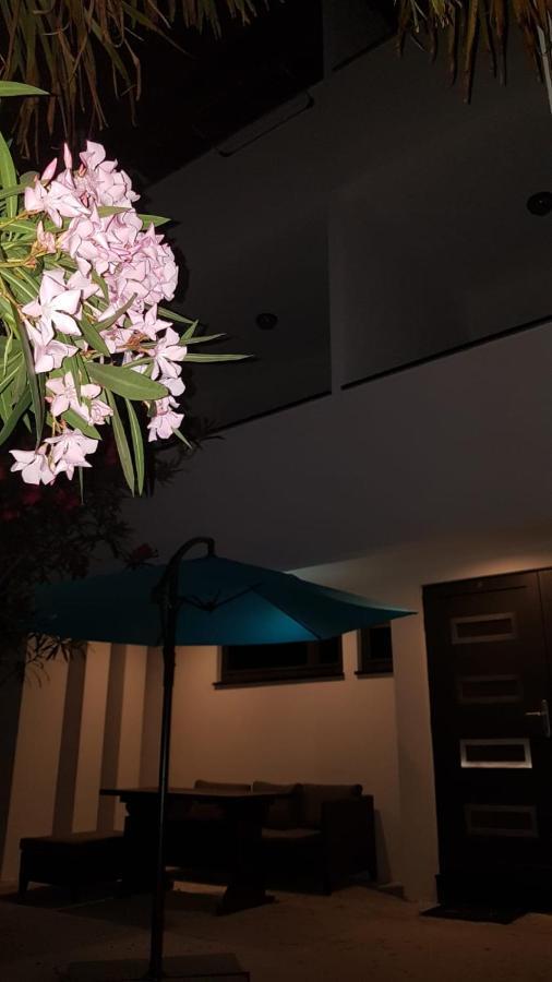 Apartments Star With Pool Biograd Na Moru Exterior foto
